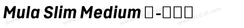 Mula Slim Medium 中字体转换